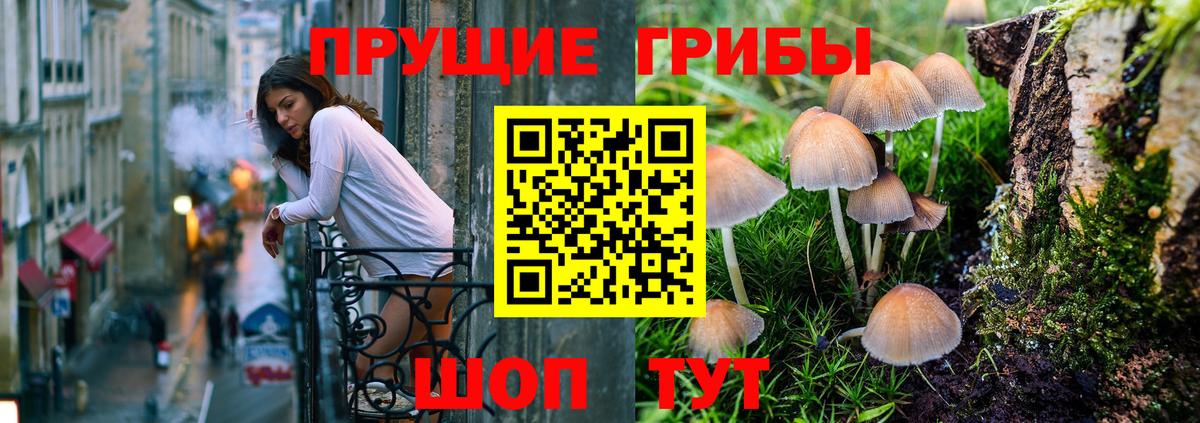 Шелехов  Галлюциногенные грибы Magic Shrooms  Псилоцибиновые грибы Cubensis  Вход с VPN 